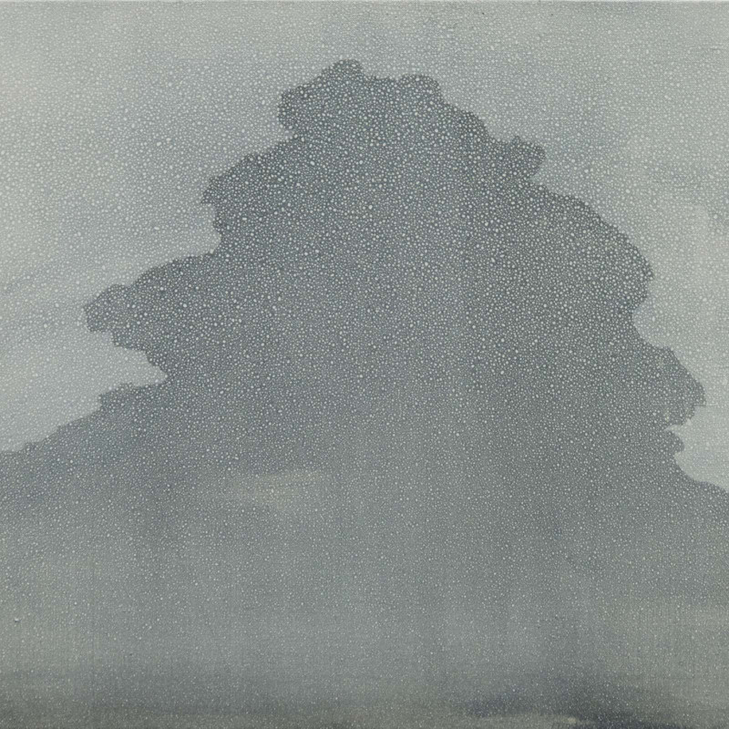 Vít Jonáš, cyklus Karasaki: 50 x 60cm, akryl na plátně, 2018