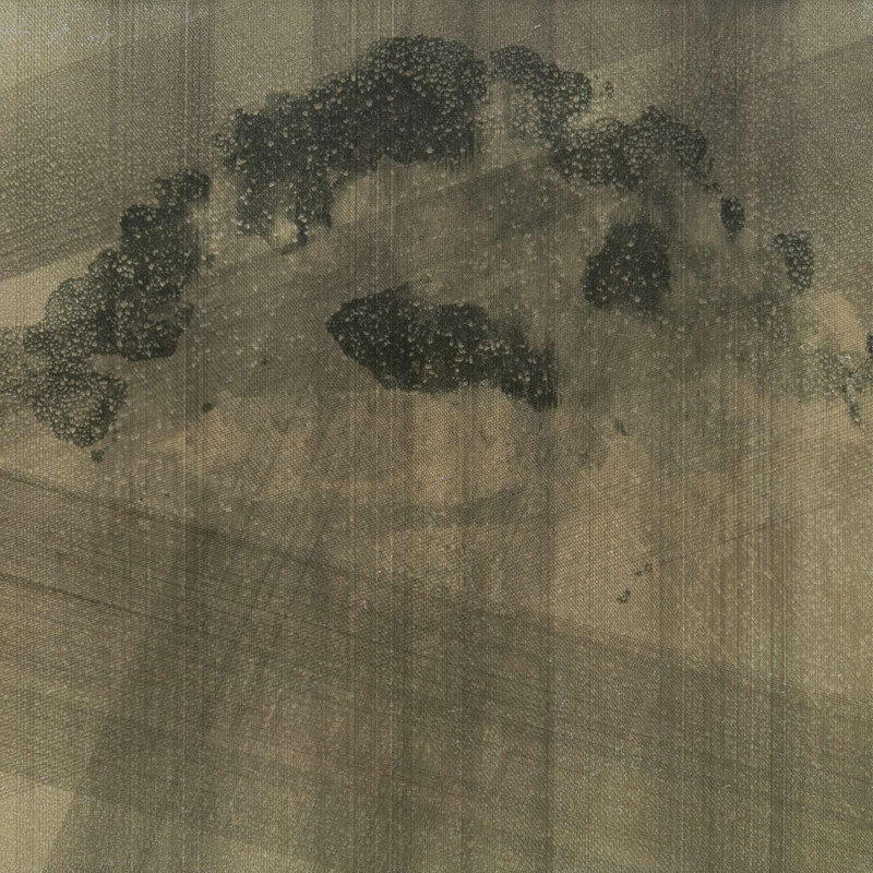Vít Jonáš, cyklus Karasaki: Borovice v dešti, 70 x 75cm, akryl na plátně, 2018