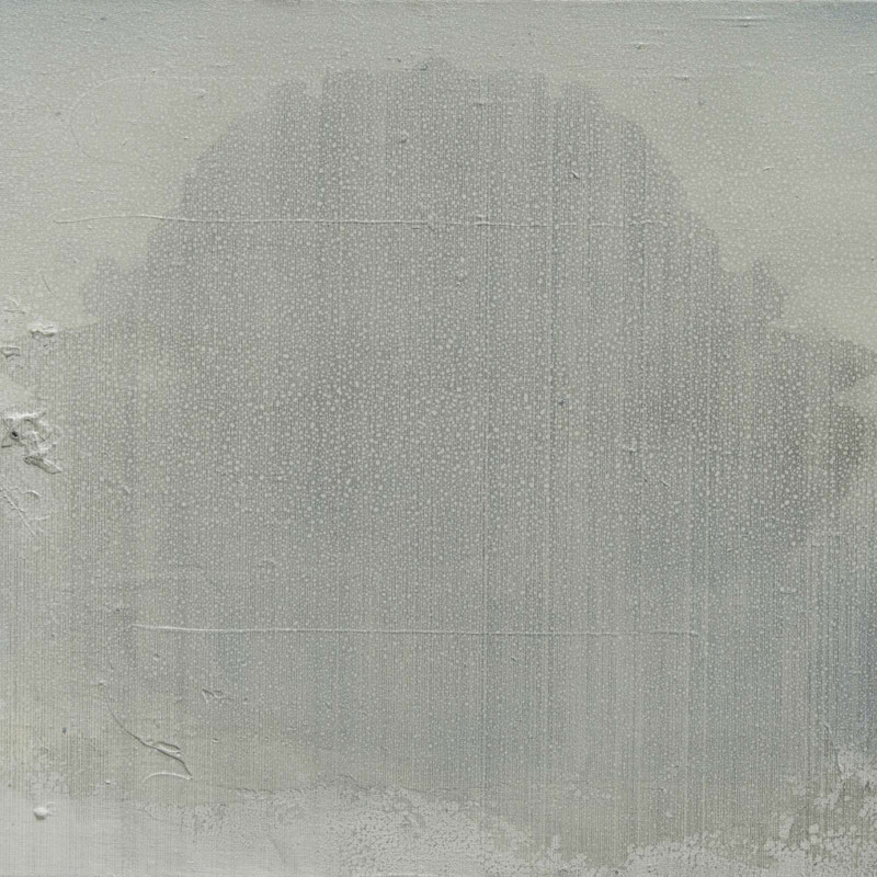Vít Jonáš, cyklus Karasaki: 50 x 60cm, akryl na plátně, 2018